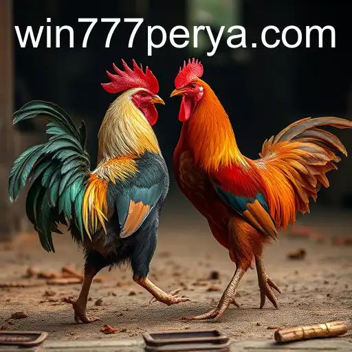 The Controversial World of Cockfighting and the Rise of 777Perya.com